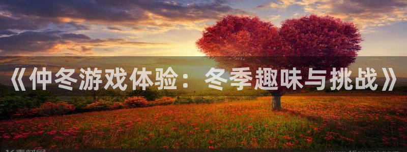 辉达娱乐主管：《仲冬游戏体验：冬季趣味与挑战》