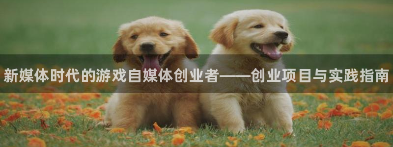 辉达娱乐官方平台：新媒体时代的游戏自媒体创业者——创业项目与