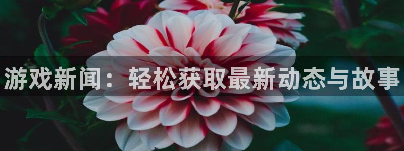 辉达娱乐注册平台：游戏新闻：轻松获取最新动态与故事