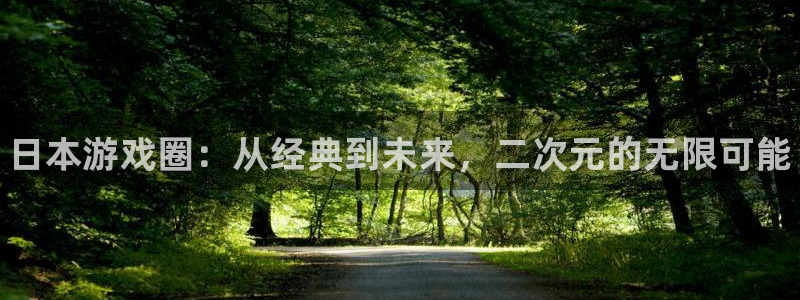 辉达娱乐注册账号：日本游戏圈：从经典到未来，二次元的无限可能