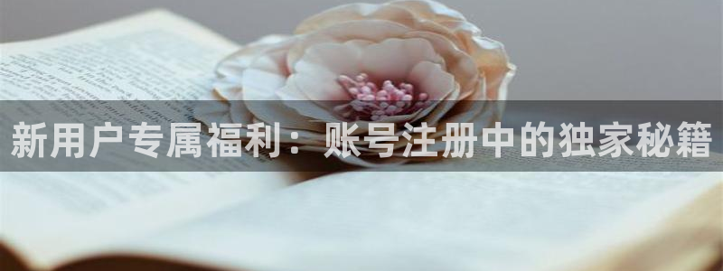 辉达娱乐直属：新用户专属福利：账号注册中的独家秘籍