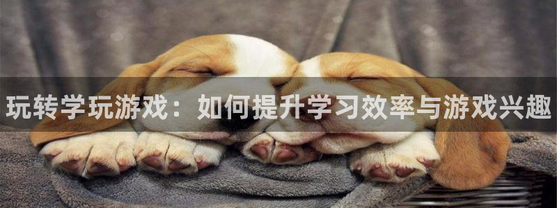 辉达娱乐官方平台：玩转学玩游戏：如何提升学习效率与游戏兴趣