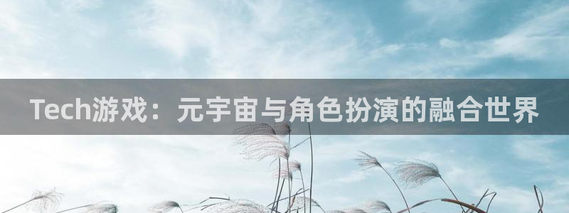 辉达娱乐4招商：Tech游戏：元宇宙与角色扮演的融合世界